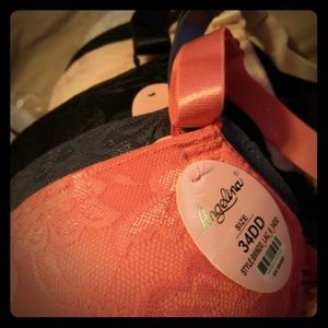 6 Angelina  padded bras